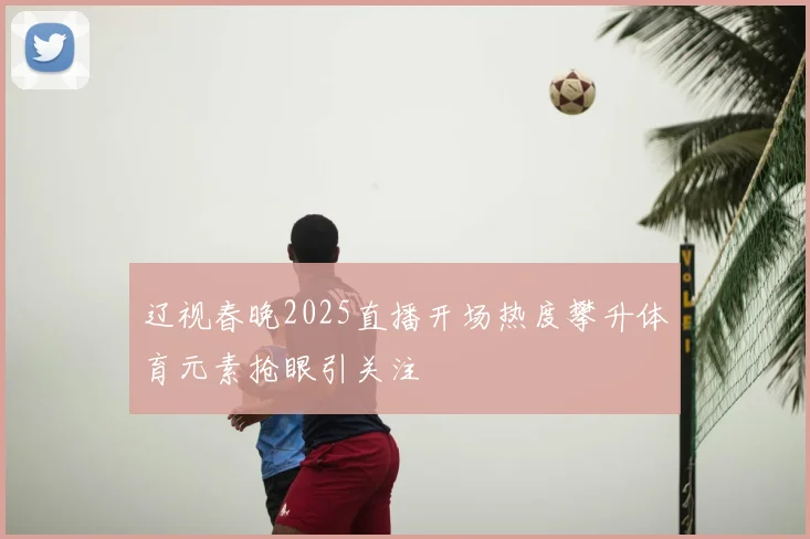 辽视春晚2025直播开场热度攀升体育元素抢眼引关注