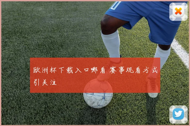 欧洲杯下载入口哪看 赛事观看方式引关注