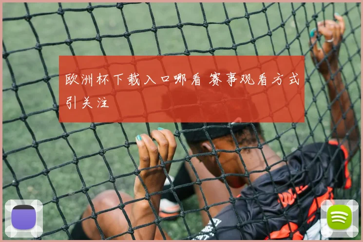 欧洲杯下载入口哪看 赛事观看方式引关注