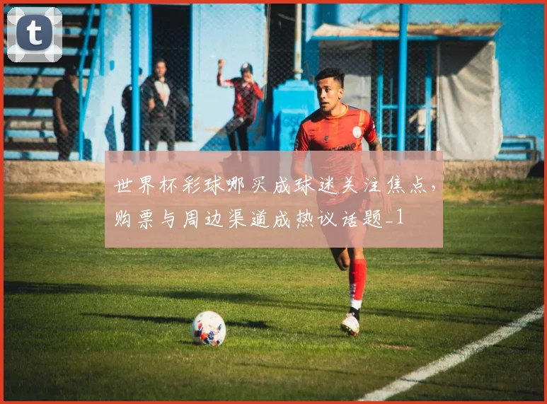 世界杯彩球哪买成球迷关注焦点,购票与周边渠道成热议话题_1
