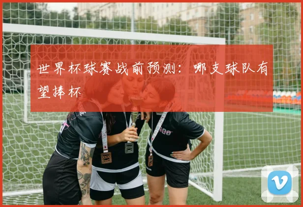 世界杯球赛战前预测:哪支球队有望捧杯