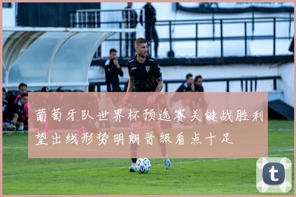 葡萄牙队世界杯预选赛关键战胜利望出线形势明朗晋级看点十足