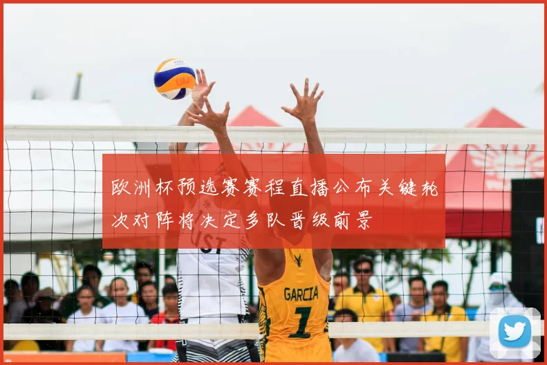 欧洲杯预选赛赛程直播公布关键轮次对阵将决定多队晋级前景