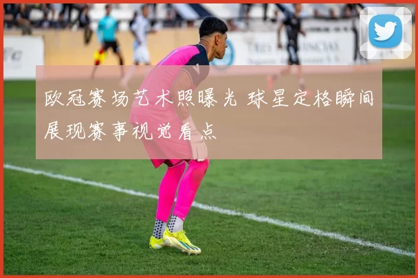 欧冠赛场艺术照曝光 球星定格瞬间展现赛事视觉看点